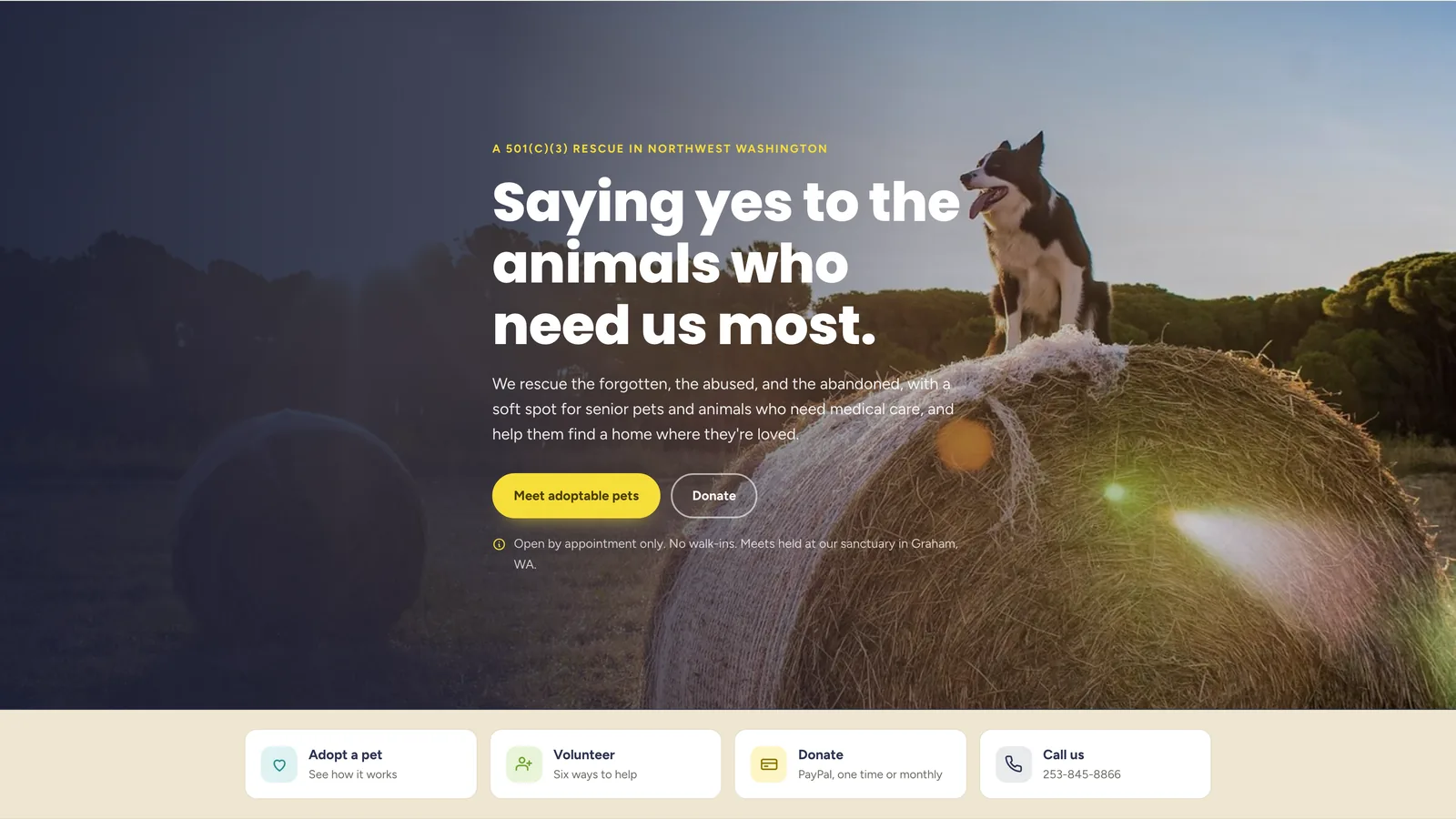 Sunny Sky's hero: a photograph of a dog standing on a hay bale at sunset, the label A 501(c)(3) rescue in northwest Washington, the headline "Saying yes to the animals who need us most.", a paragraph, Meet adoptable pets and Donate buttons, and a note that visits are by appointment only. Below, a strip of four cards reading Adopt a pet, Volunteer, Donate and Call us.