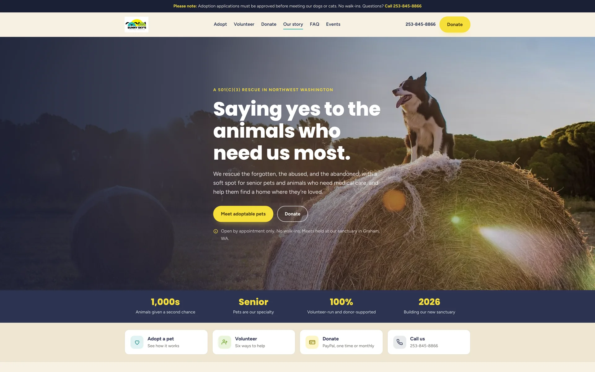 First screen of the Sunny Sky's concept: a photograph of a dog on a hay bale at sunset, the headline "Saying yes to the animals who need us most.", Meet adoptable pets and Donate buttons, and a line saying visits are by appointment only.